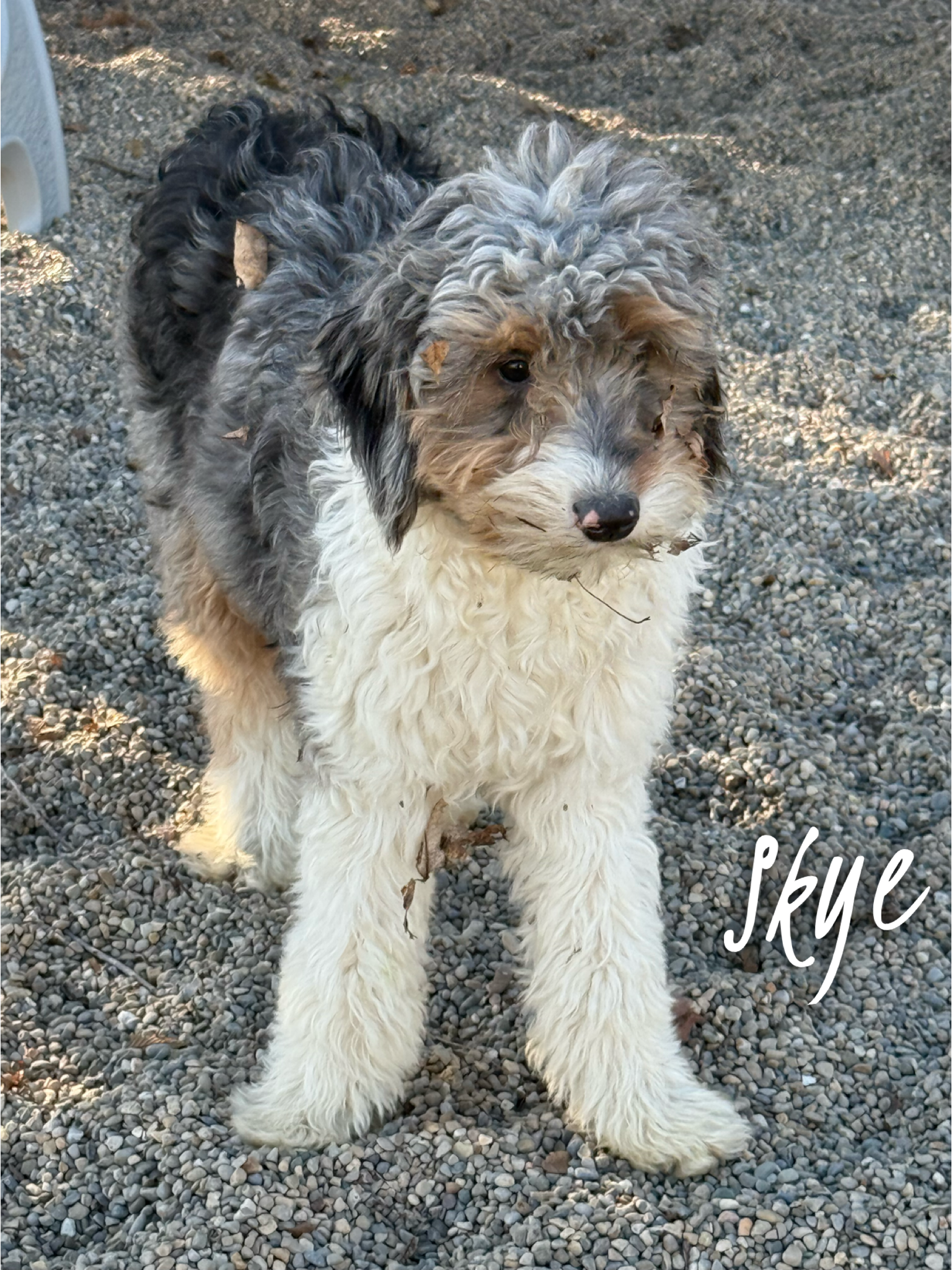 Skye